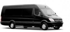 12 passenger Limo Sprinter